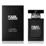 Karl Lagerfeld - Karl Lagerfeld for Him férfi 100ml eau de toilette  