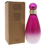 Britney Spears - Fantasy The Nice Remix női 100ml eau de parfum teszter 