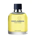 Dolce & Gabbana - Pour Homme férfi 200ml eau de toilette teszter 