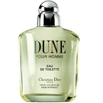 Christian Dior - Dune férfi 100ml eau de toilette teszter 