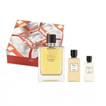 Hermés - Terre D'Hermés Eau Intense Vétiver férfi 100ml parfüm szett  2.