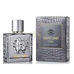 Roberto Cavalli - Roberto Cavalli Uomo Silver Essence férfi 100ml eau de toilette  