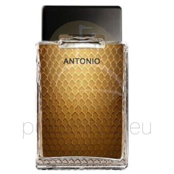 Antonio Banderas - Antonio férfi 100ml eau de toilette teszter 