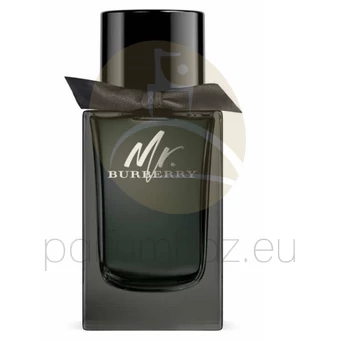 Burberry - Mr. Burberry férfi 100ml eau de parfum teszter 