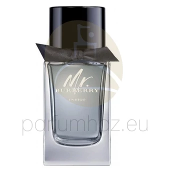 Burberry - Mr. Burberry Indigo férfi 100ml eau de toilette teszter 