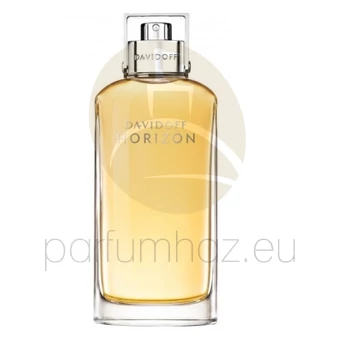Davidoff - Horizon férfi 125ml eau de toilette teszter 