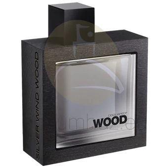 DSQUARED2 - He Wood Silver Wind Wood férfi 100ml eau de toilette teszter 