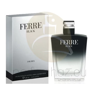 Gianfranco Ferre - Ferre Black férfi 100ml eau de toilette teszter 