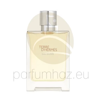 Hermés - Terre D'Hermés Eau Givrée férfi 100ml eau de parfum teszter 