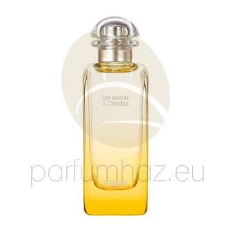 Hermés - Un Jardin a Cythere unisex 100ml eau de toilette teszter 