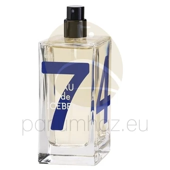 Iceberg - Eau de Iceberg Cedar férfi 100ml eau de toilette teszter 