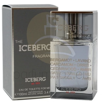 Iceberg - The Iceberg Fragrance férfi 100ml eau de toilette teszter 