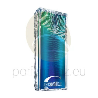 Roberto Cavalli - Just Cavalli Blue férfi 60ml eau de toilette teszter 