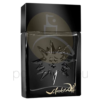 Salvador Dali - Black Sun férfi 100ml eau de toilette teszter 