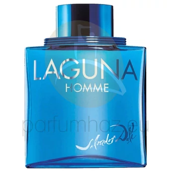 Salvador Dali - Laguna férfi 100ml eau de toilette teszter 