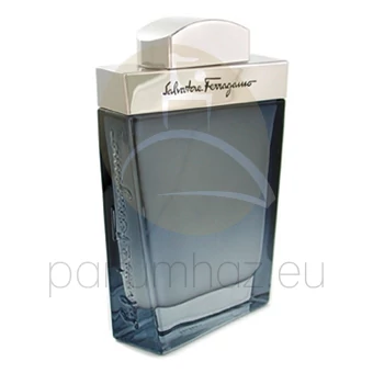 Salvatore Ferragamo - Subtil férfi 100ml eau de toilette teszter 